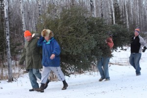 Andrew and Tree